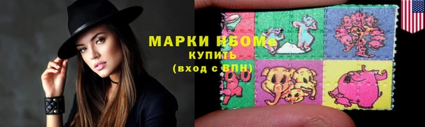 дживик Козельск