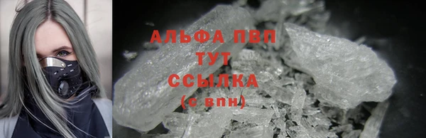 дживик Козельск