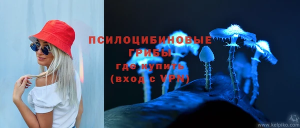 дживик Козельск