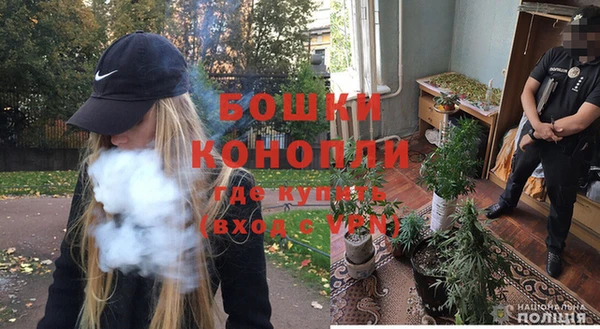 дживик Козельск