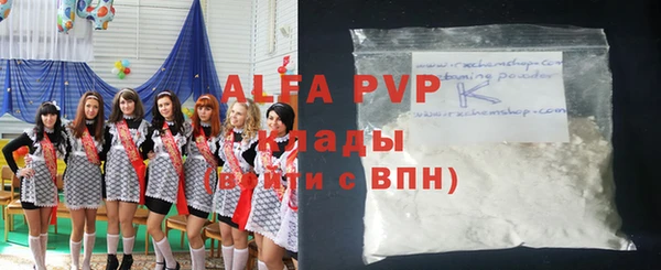 дживик Козельск