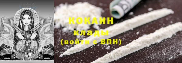 дживик Козельск