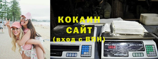 гидра Корсаков