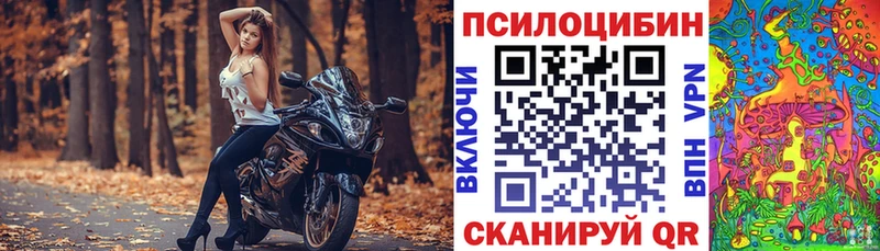 Купить  Выкса  Псилоцибиновые грибы прущие грибы 